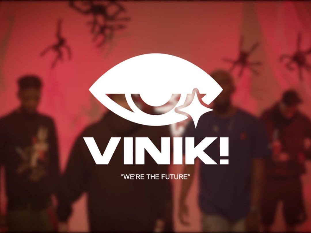 Vinik Project